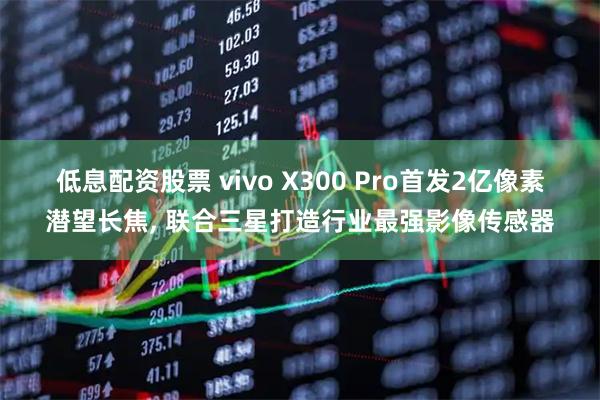 低息配资股票 vivo X300 Pro首发2亿像素潜望长焦, 联合三星打造行业最强影像传感器