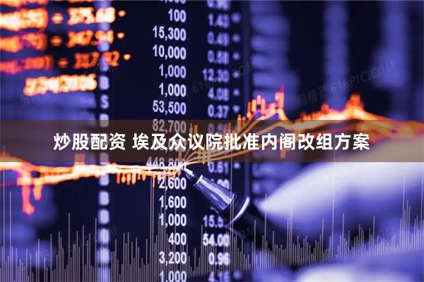 炒股配资 埃及众议院批准内阁改组方案