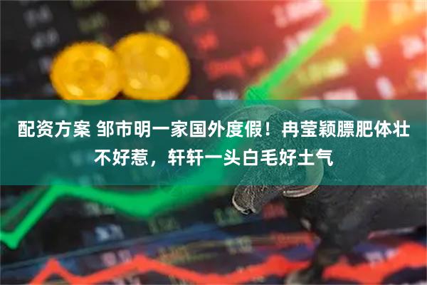 配资方案 邹市明一家国外度假！冉莹颖膘肥体壮不好惹，轩轩一头白毛好土气